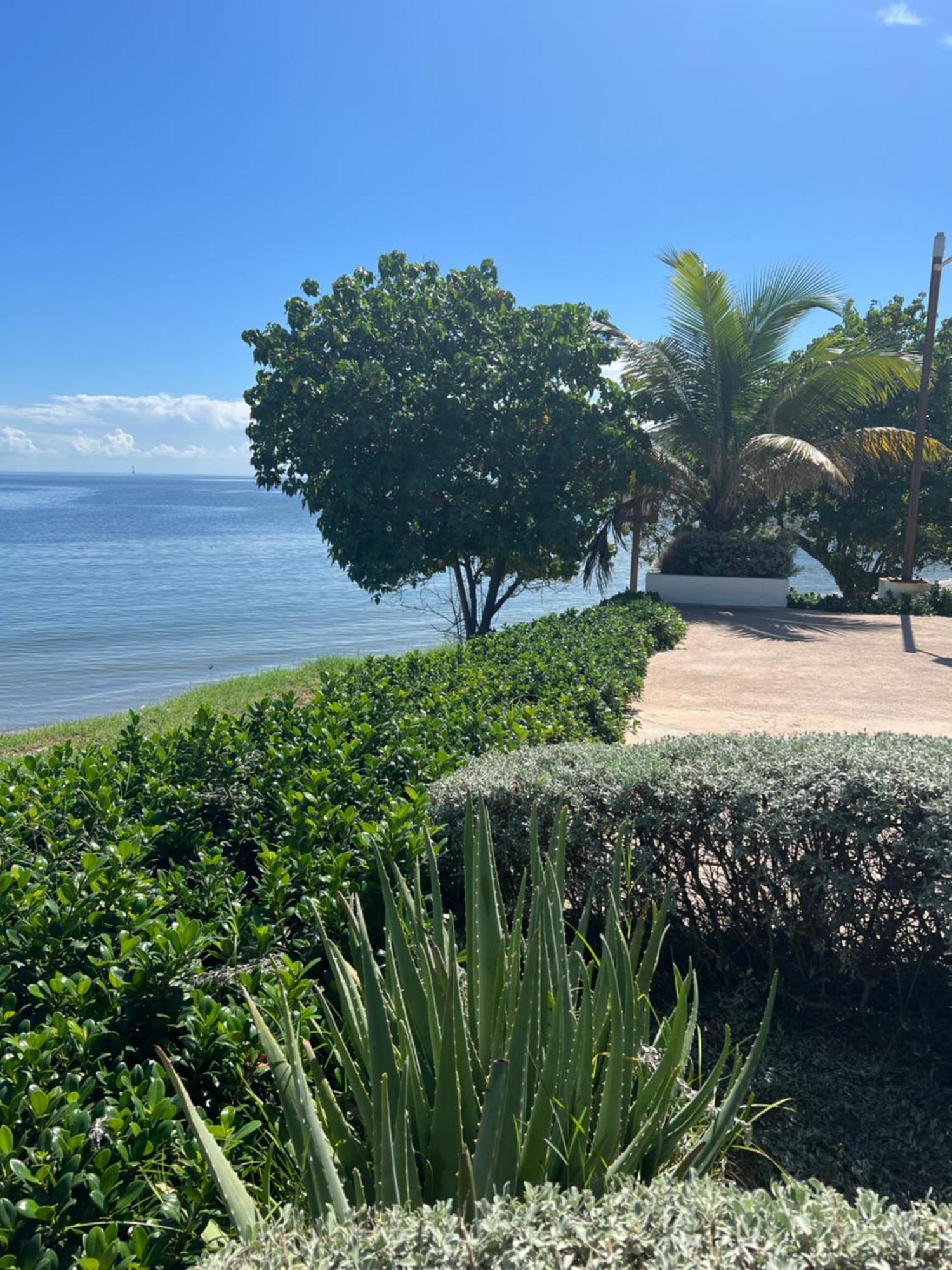 Bayfront Villa & Apartment Portmore Bagian luar foto